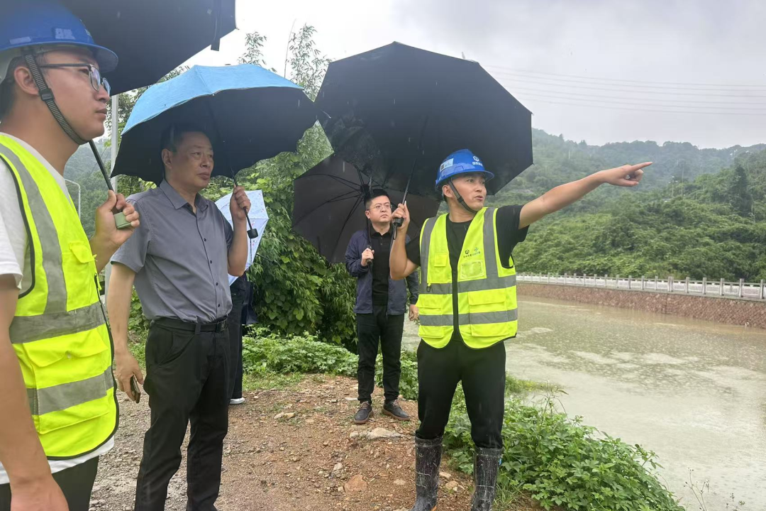 蒼南“水利+檢察”聯動:一案雙查,高效辦結水利生態損害賠償案件